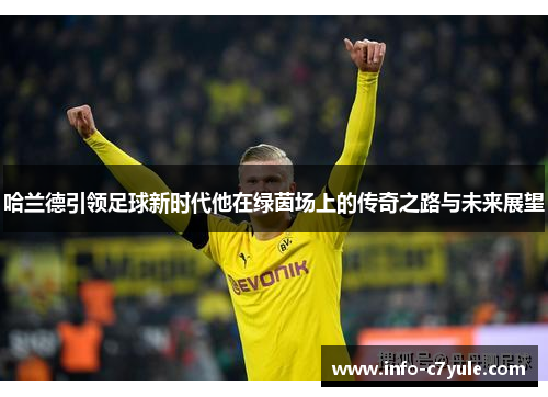 哈兰德引领足球新时代他在绿茵场上的传奇之路与未来展望